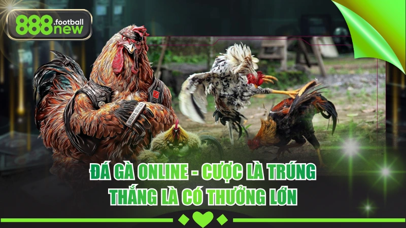 Đá Gà Online - Cược Là Trúng, Thắng Là Có Thưởng Lớn
