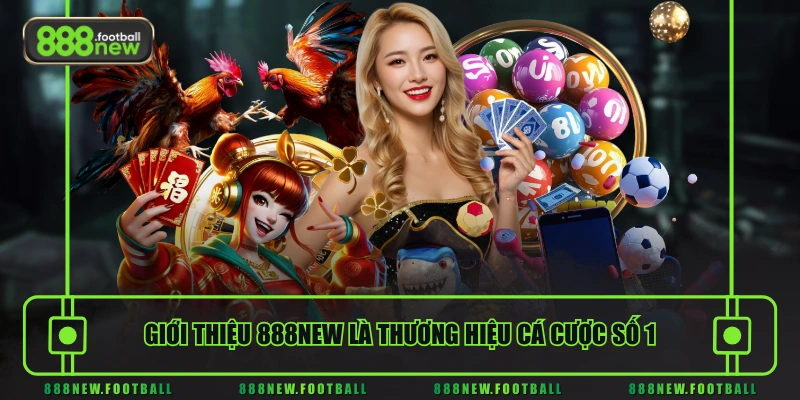 Giới thiệu 888NEW là thương hiệu cá cược số 1