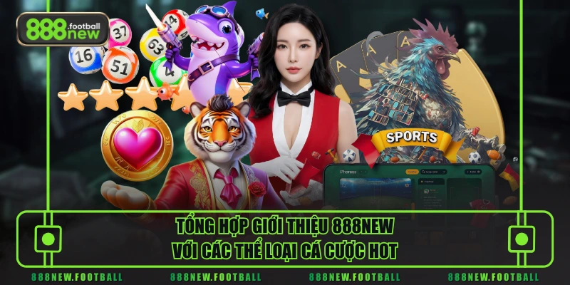 Tổng hợp giới thiệu 888NEW với các thể loại cá cược hot