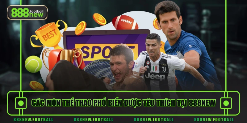 Các môn thể thao phổ biến được yêu thích tại 888NEW