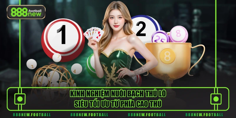 Kinh nghiệm nuôi bạch thủ lô siêu tối ưu từ phía cao thủ