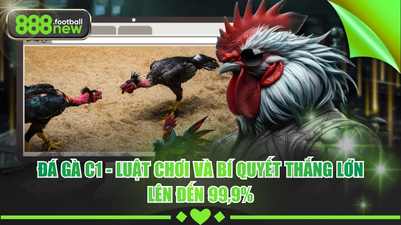 Đá Gà C1 - Luật Chơi Và Bí Quyết Thắng Lớn Lên Đến 99,9%