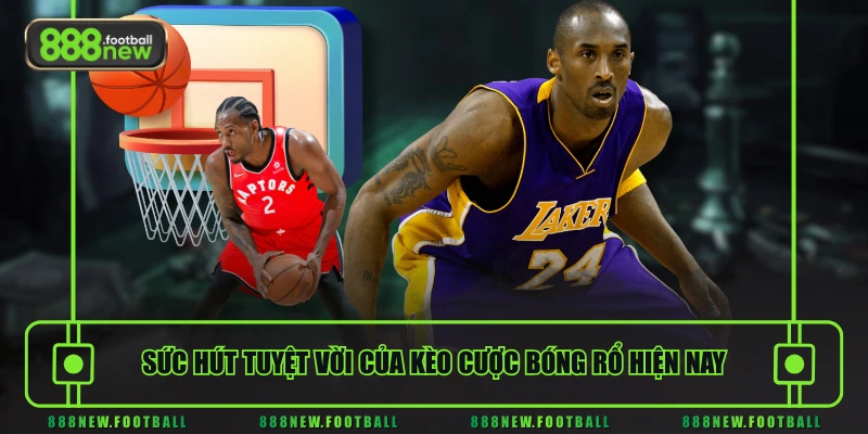 Sức hút tuyệt vời của kèo cược bóng rổ hiện nay