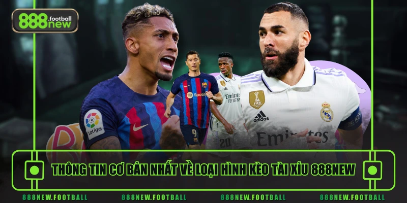 Thông tin cơ bản nhất về loại hình kèo Tài Xỉu 888NEW