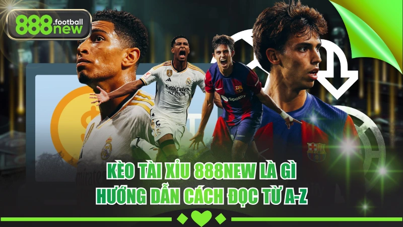 Kèo Tài Xỉu 888NEW Là Gì - Hướng Dẫn Cách Đọc Từ A-Z